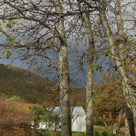 Sonklip Hotel Stellenbosch Ngoại thất bức ảnh