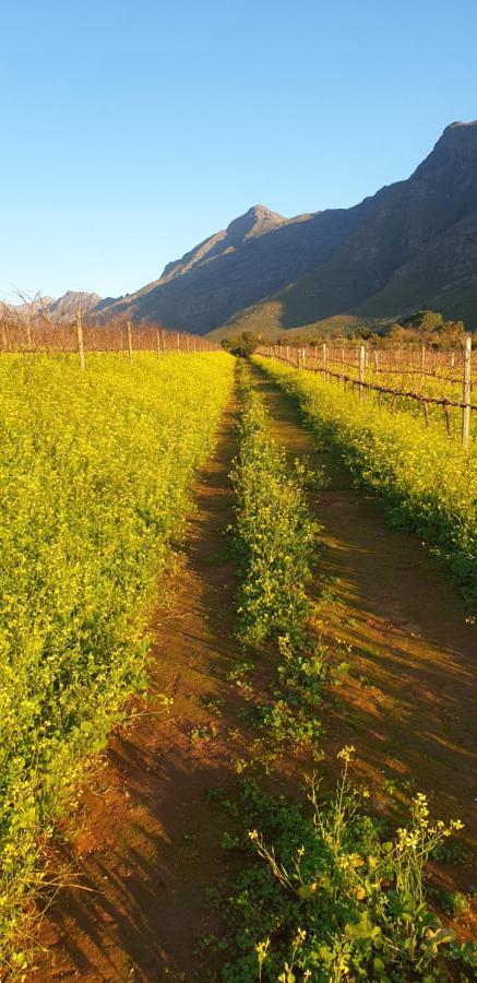 Sonklip Hotel Stellenbosch Ngoại thất bức ảnh