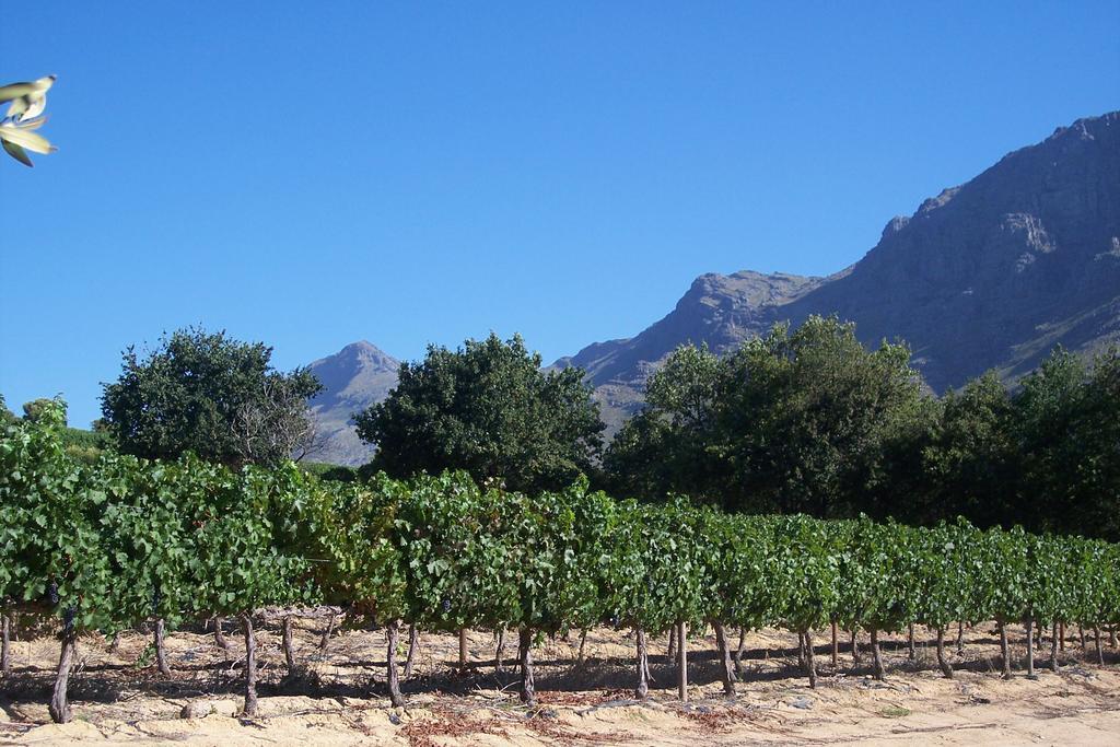 Sonklip Hotel Stellenbosch Ngoại thất bức ảnh