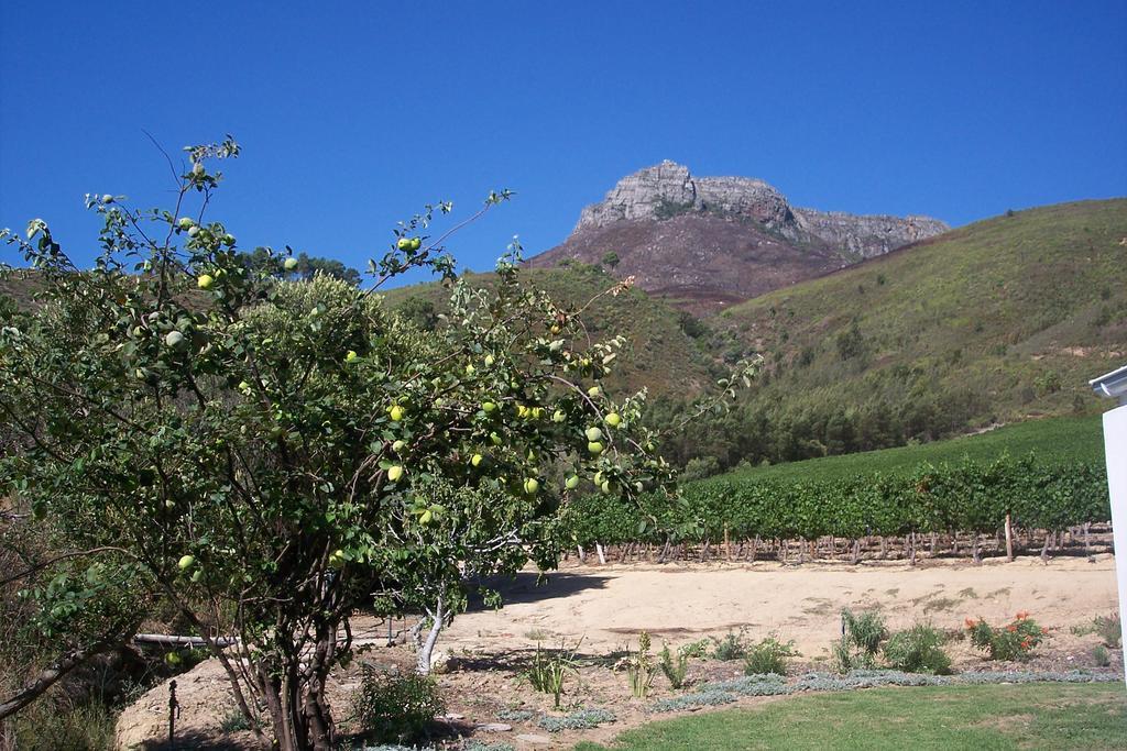 Sonklip Hotel Stellenbosch Ngoại thất bức ảnh