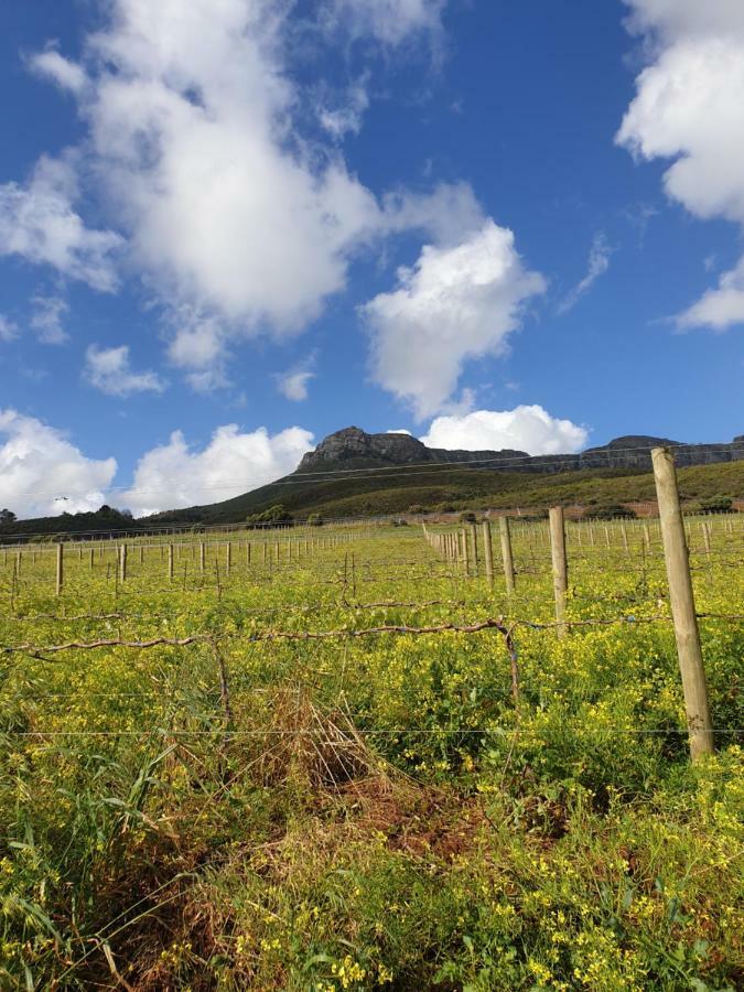 Sonklip Hotel Stellenbosch Phòng bức ảnh